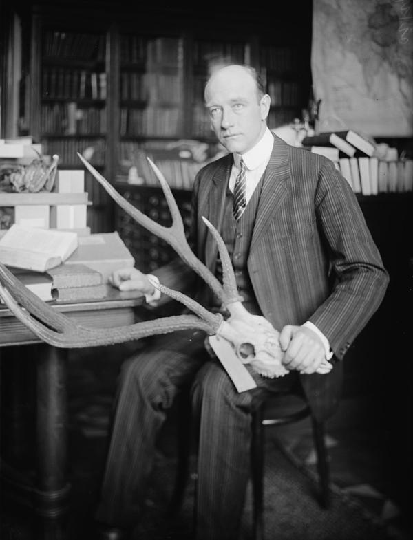 Nhà thám hiểm Roy Chapman Andrews cầm hộp sọ của một con hươu. Thư viện Quốc hội. (Ảnh: Tài liệu công cộng)