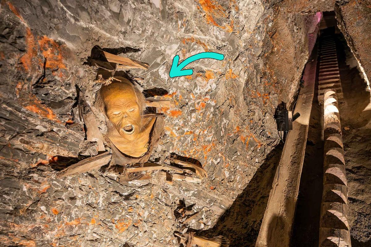 Xác ướp ‘Người Muối’ được chôn cất hàng thiên niên kỷ trong mỏ muối kỳ diệu 7,000 năm tuổi của nước Áo