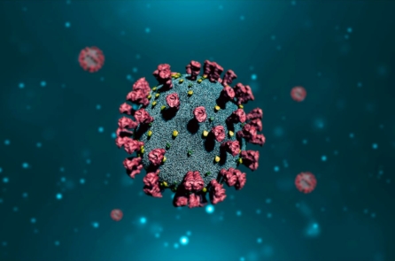 Biến thể COVID mới ‘HV.1’ có những đột biến đáng ngạc nhiên