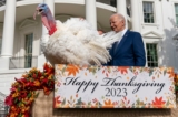Tổng thống Joe Biden đứng cạnh Liberty, một trong hai chú gà tây tại Lễ Tạ ơn quốc gia, sau khi ân xá cho chúng trong một buổi lễ ở Bãi cỏ phía Nam của Tòa Bạch Ốc hôm 20/11/2023. (Ảnh: Andrew Harnik/AP Photo)