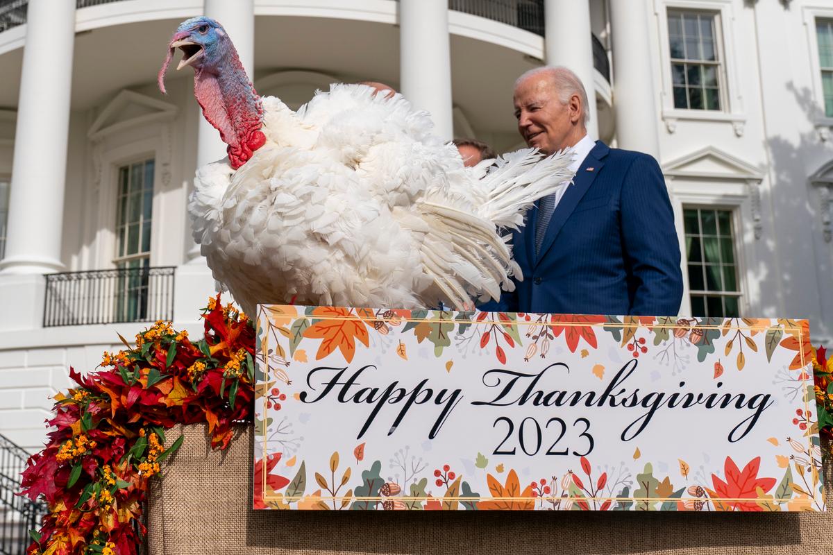 Tổng thống Joe Biden đứng cạnh Liberty, một trong hai chú gà tây tại Lễ Tạ ơn quốc gia, sau khi ân xá cho chúng trong một buổi lễ ở Bãi cỏ phía Nam của Tòa Bạch Ốc hôm 20/11/2023. (Ảnh: Andrew Harnik/AP Photo)