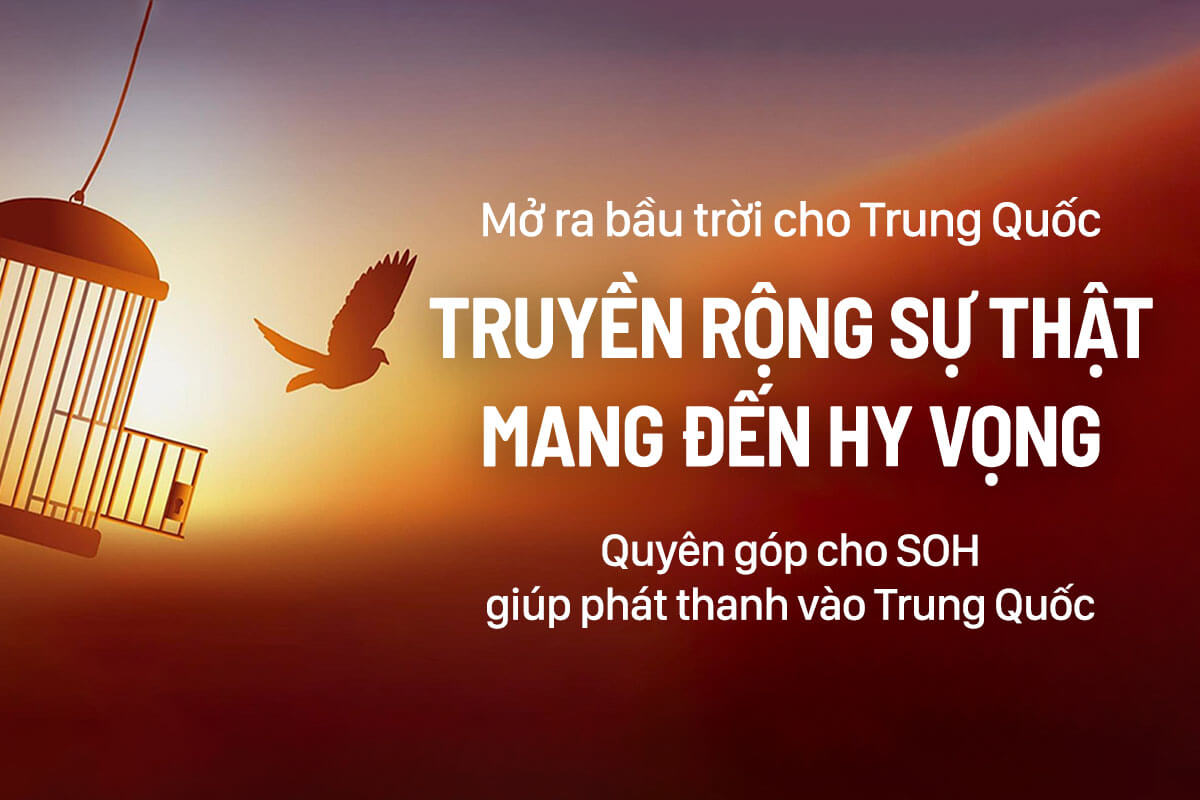 Hải âu mang hy vọng: Kỳ tích được tạo dựng trong 20 năm (Phần 1)