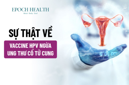 Sự Thật Về Vaccine HPV Ngừa Ung Thư Cổ Tử Cung