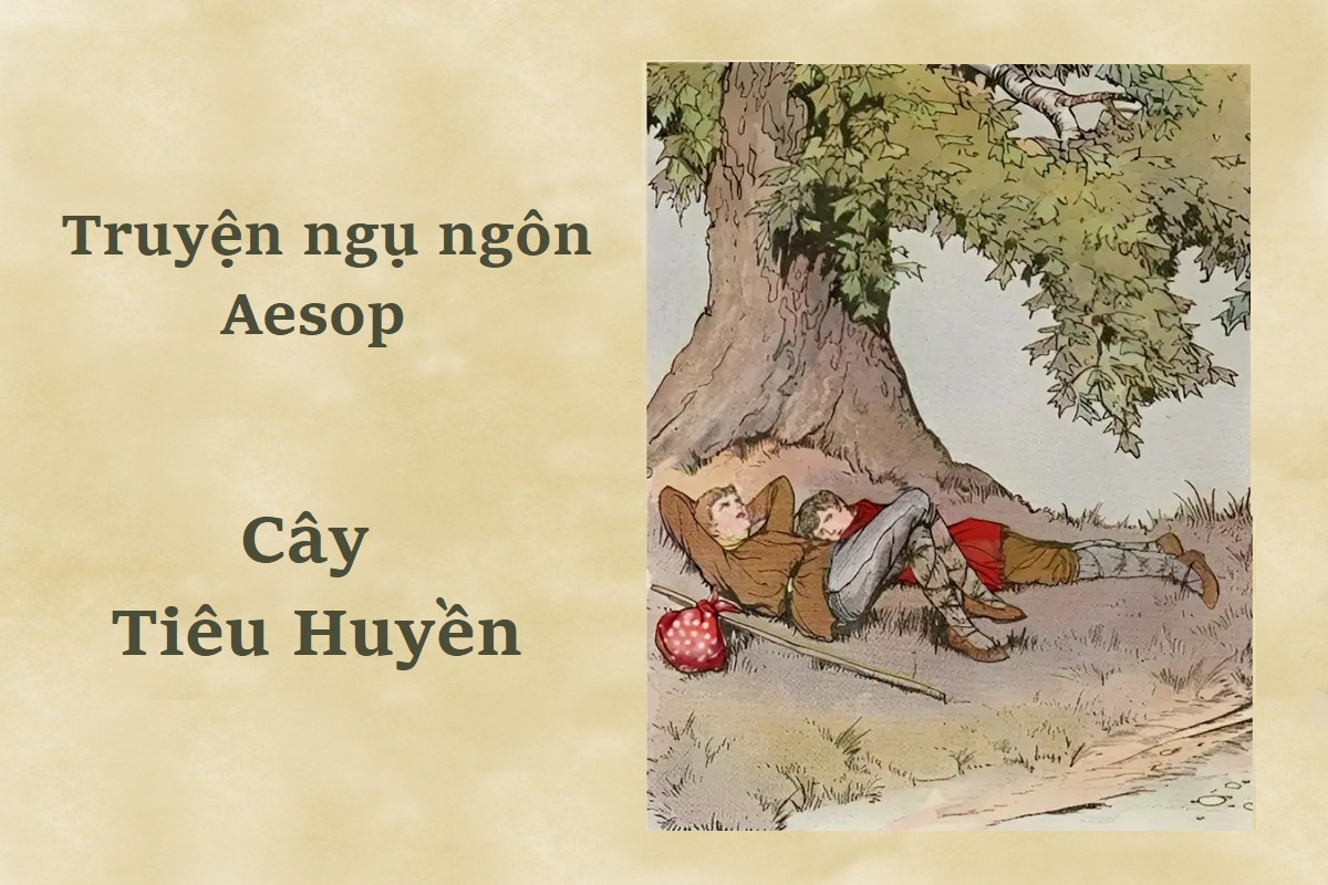 Truyện ngụ ngôn Aesop: Cây Tiêu Huyền