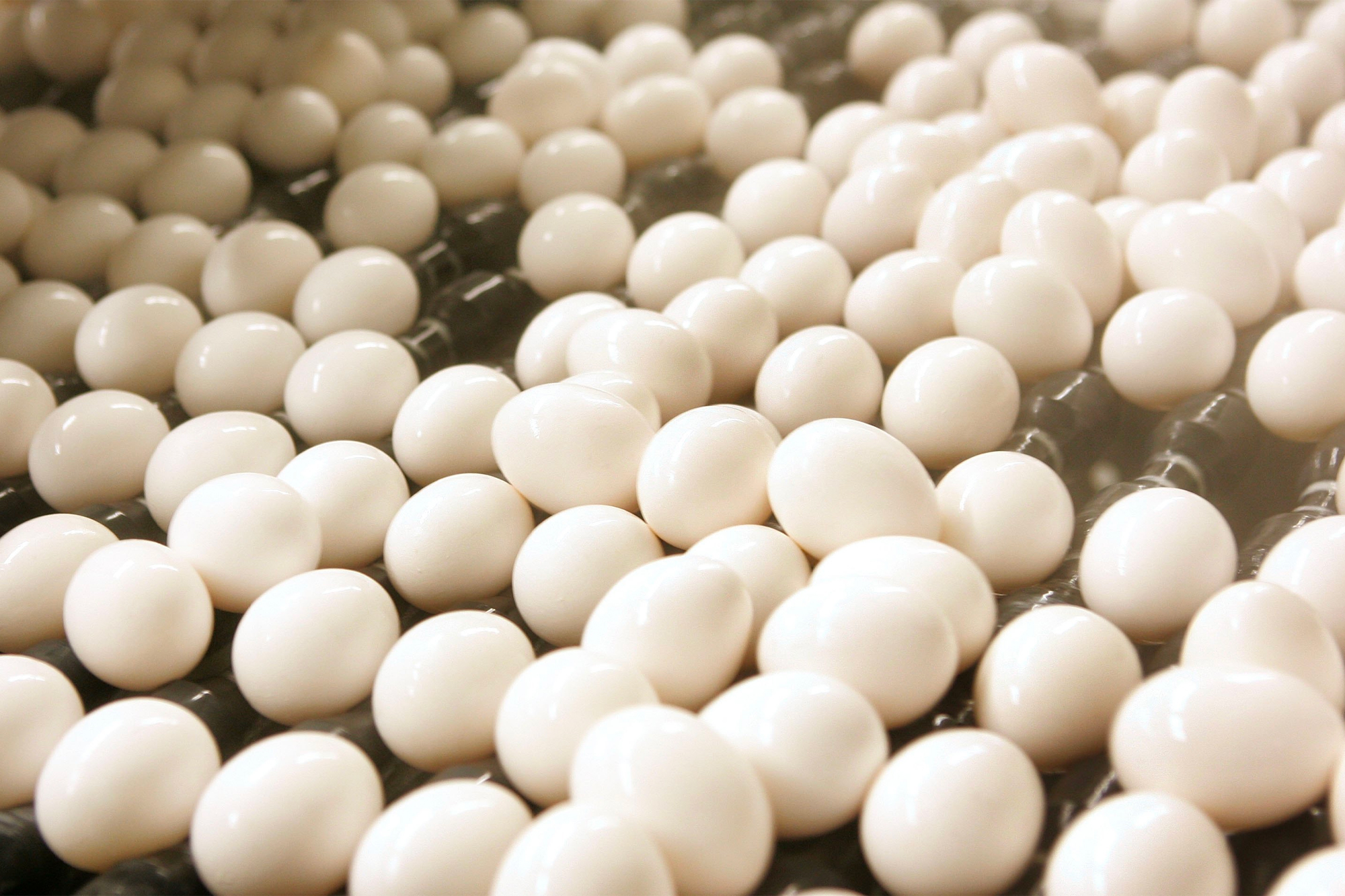 Trứng thanh trùng được chuyển đến khu vực đóng gói tại cơ sở chế biến Trứng thanh trùng quốc gia (NPE) vào ngày 22/03/2006, tại Lansing, Illinois. (Ảnh: Scott Olson/Getty)
