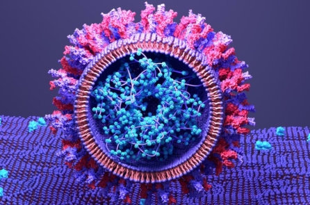 Nhật Bản chấp thuận vaccine ngừa COVID-19 mRNA ‘tự khuếch đại’ đầu tiên trên thế giới mà không công bố dữ liệu về hiệu quả hoặc an toàn