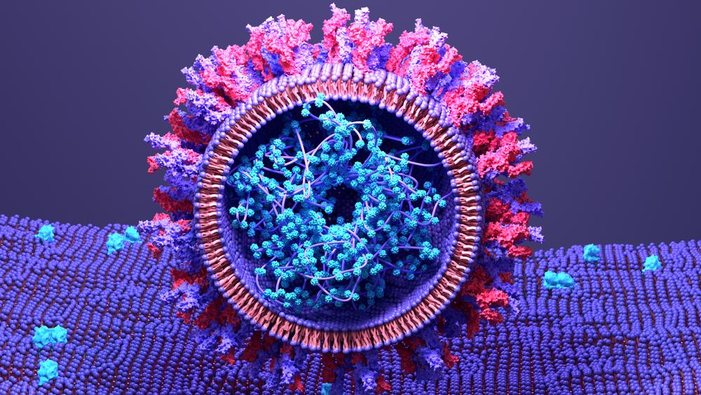 Hình ảnh các protein gai của SARS-CoV-2 liên kết với các thụ thể ACE2. (Ảnh: Shutterstock)