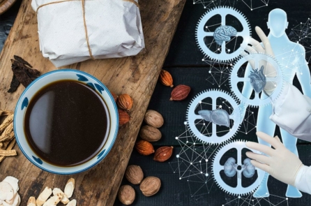 Học thuyết tạng tượng