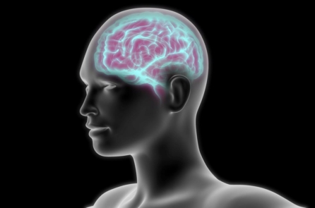 Nghiên cứu: Hút thuốc lá làm giảm kích thước bộ não không  hồi phục