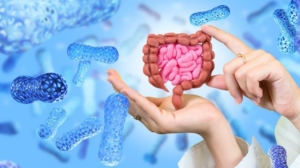Các loại thực phẩm gây hại cho đường tiêu hóa