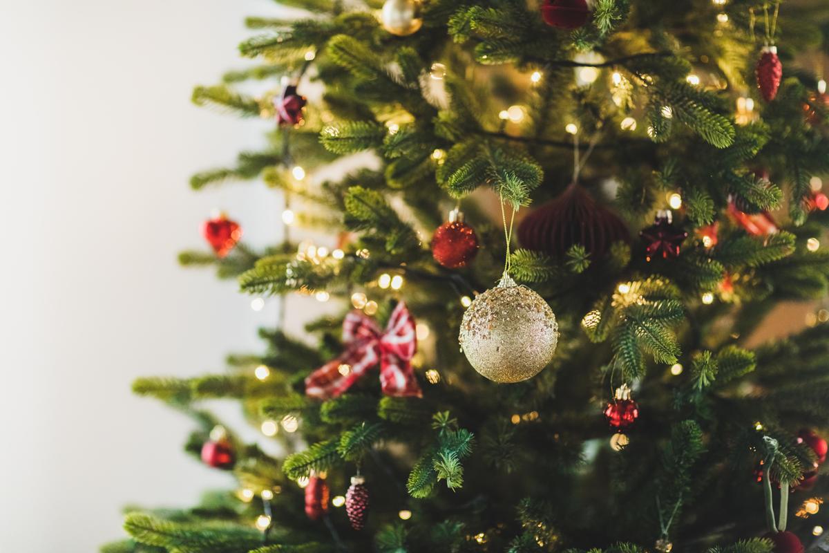 Tạo nên ánh sáng lung linh rực rỡ với những mẹo trang trí về cách giăng dây đèn trên cây Giáng Sinh. (Ảnh: Anastasiia Krivenok/Getty Images)