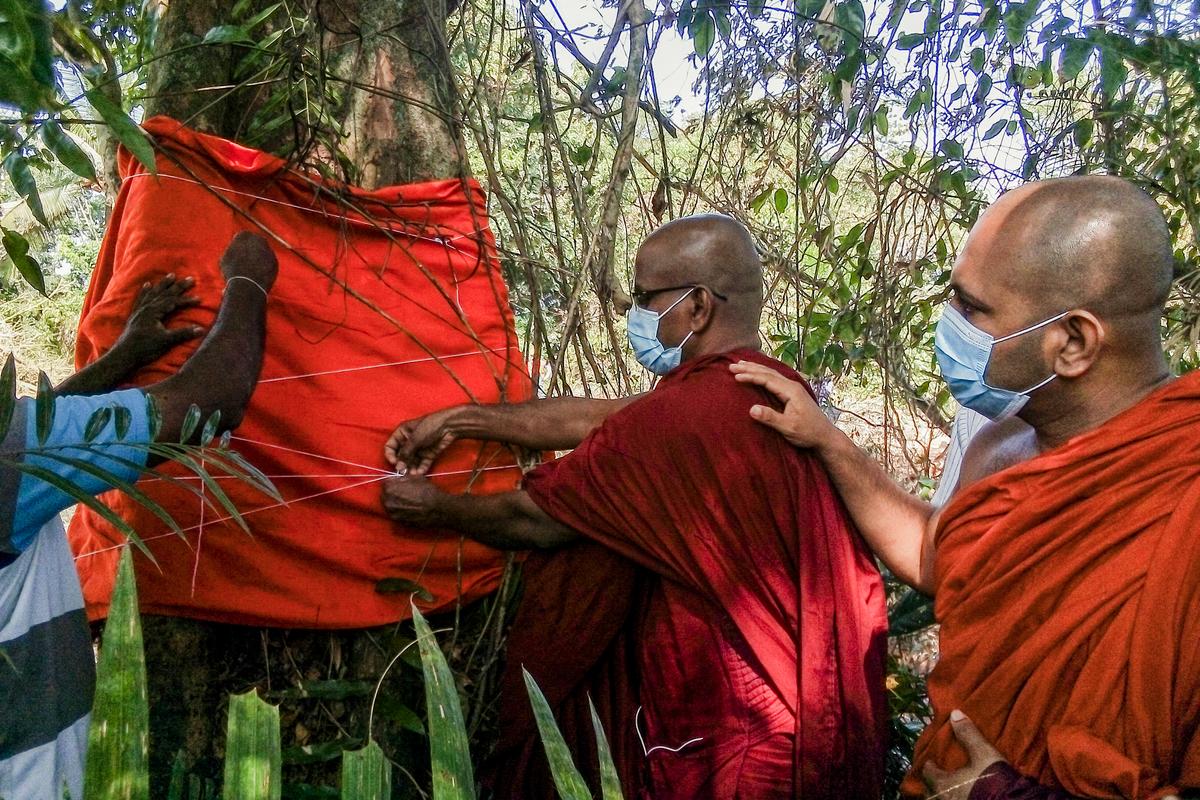 Các nhà sư Phật Giáo buộc chiếc áo cà sa quanh thân cây để tượng trưng cho việc quy y cho cây nhằm nỗ lực ngăn chặn việc cây bị đốn hạ để nhường đường cho đường cao tốc ở ngoại ô Colombo, Sri Lanka, vào ngày 10/02/2021. (Ảnh: AFP qua Getty Images)