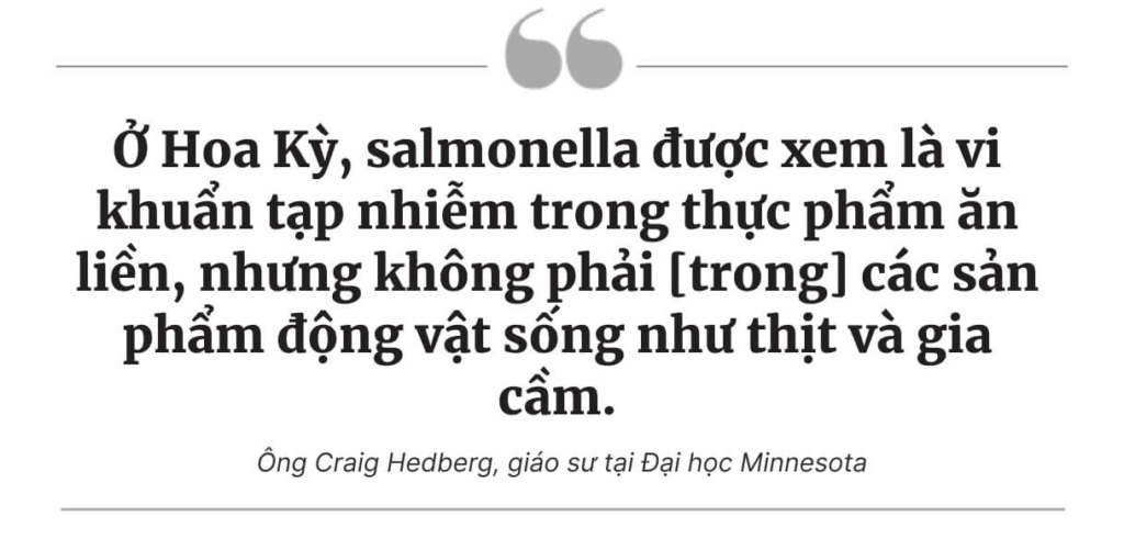 Salmonella: Nguyên nhân gây tử vong số 1 trong thực phẩm hàng ngày, những vấn đề nan giải trong điều trị