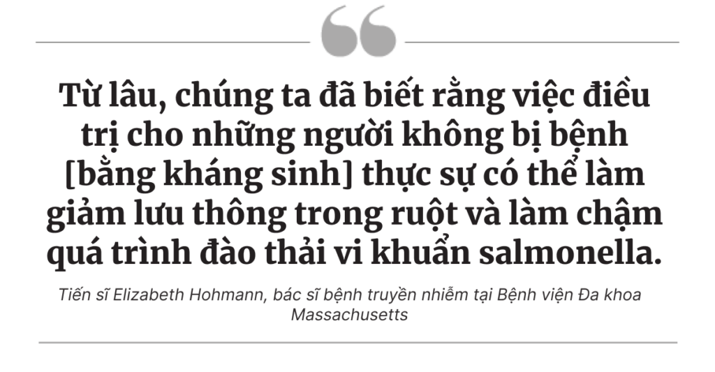 Salmonella: Nguyên nhân gây tử vong số 1 trong thực phẩm hàng ngày, những vấn đề nan giải trong điều trị