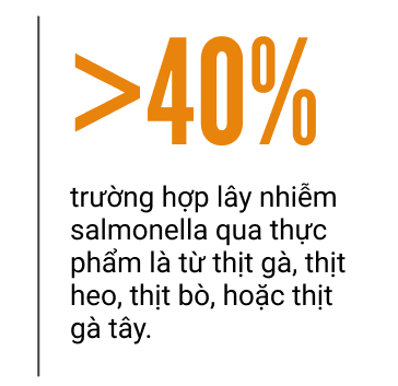 Salmonella: Nguyên nhân gây tử vong số 1 trong thực phẩm hàng ngày, những vấn đề nan giải trong điều trị