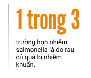 Salmonella: Nguyên nhân gây tử vong số 1 trong thực phẩm hàng ngày, những vấn đề nan giải trong điều trị