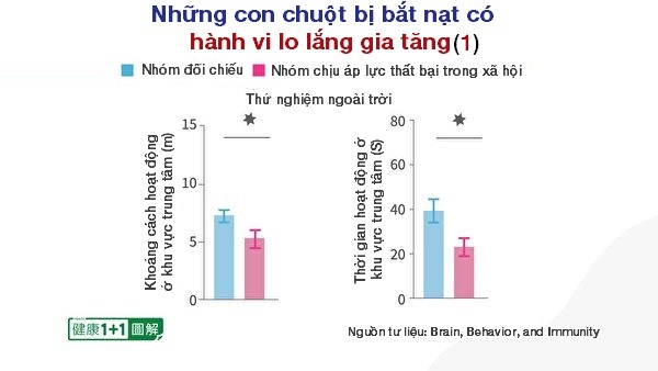 Nhìn thấu ‘Thuyết tiến hóa’ (Chương 4): Thuyết tiến hóa không động chạm đến thế giới tinh thần (P.2)