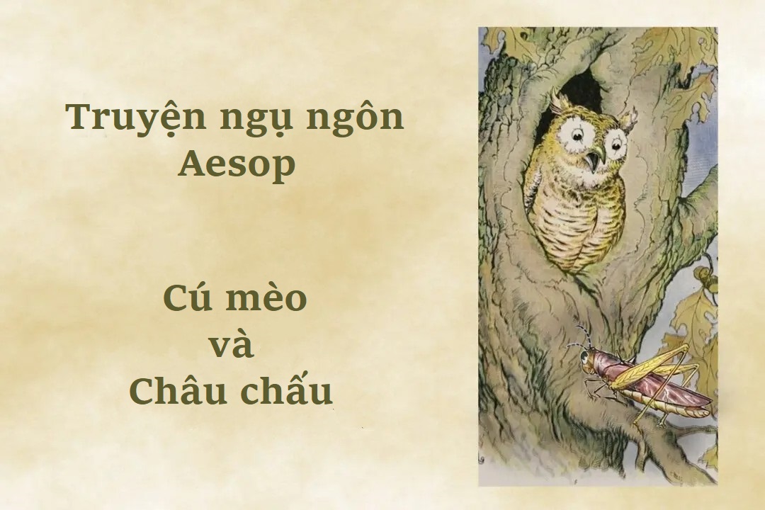 Truyện ngụ ngôn Aesop: Cú mèo và Châu chấu