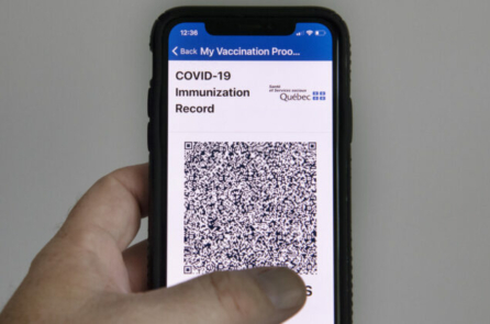 ‘Phản đối ngay trước khi quá muộn’: Thượng nghị sĩ Nam Úc đưa ra cảnh báo về căn cước kỹ thuật số