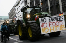 Nông dân đến biểu tình tại khu chính phủ ở Berlin, Đức, vào ngày 26/11/2019. (Ảnh: Markus Schreiber/AP)