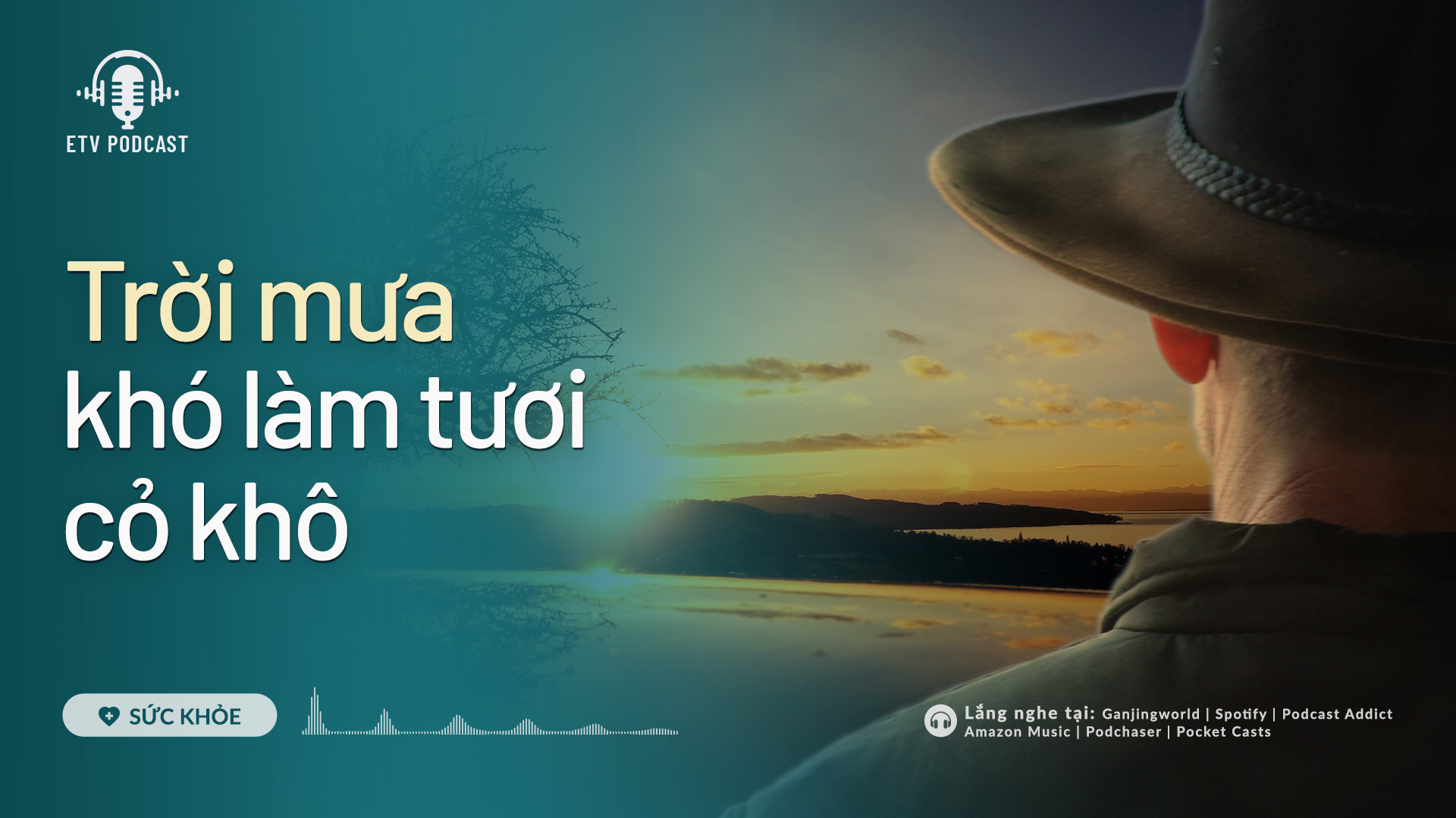 Trời mưa khó làm tươi cỏ khô | Sức khỏe 