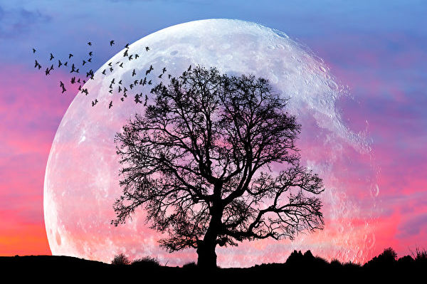 Ảnh minh họa siêu trăng. (Ảnh: Shutterstock)