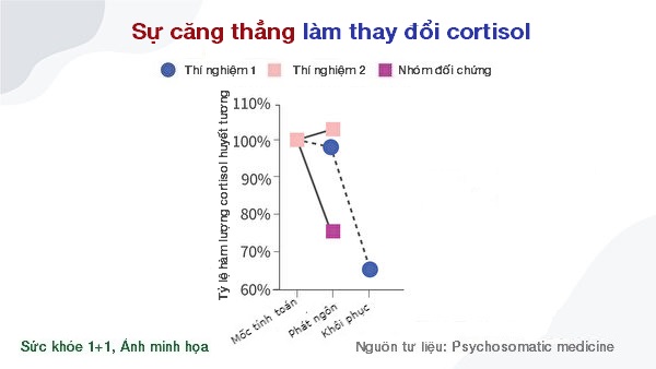 Nhìn thấu ‘Thuyết tiến hóa’ (Chương 4): Thuyết tiến hóa không động chạm đến thế giới tinh thần (P.2)