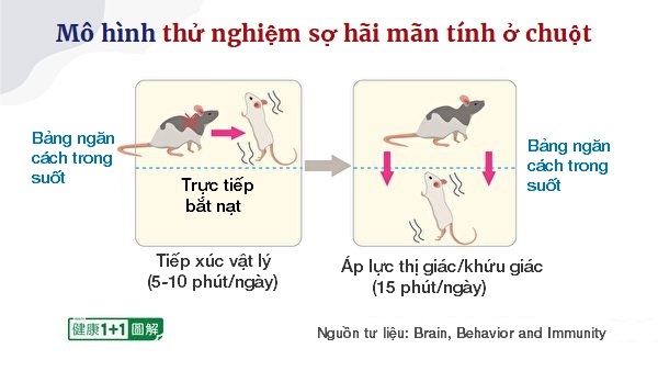 Nhìn thấu ‘Thuyết tiến hóa’ (Chương 4): Thuyết tiến hóa không động chạm đến thế giới tinh thần (P.2)