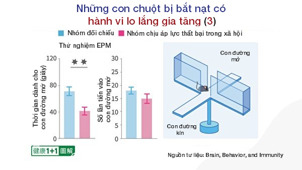 Nhìn thấu ‘Thuyết tiến hóa’ (Chương 4): Thuyết tiến hóa không động chạm đến thế giới tinh thần (P.2)