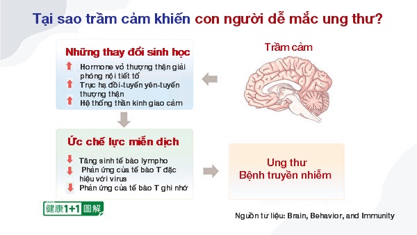 Nhìn thấu ‘Thuyết tiến hóa’ (Chương 4): Thuyết tiến hóa không động chạm đến thế giới tinh thần (P.2)