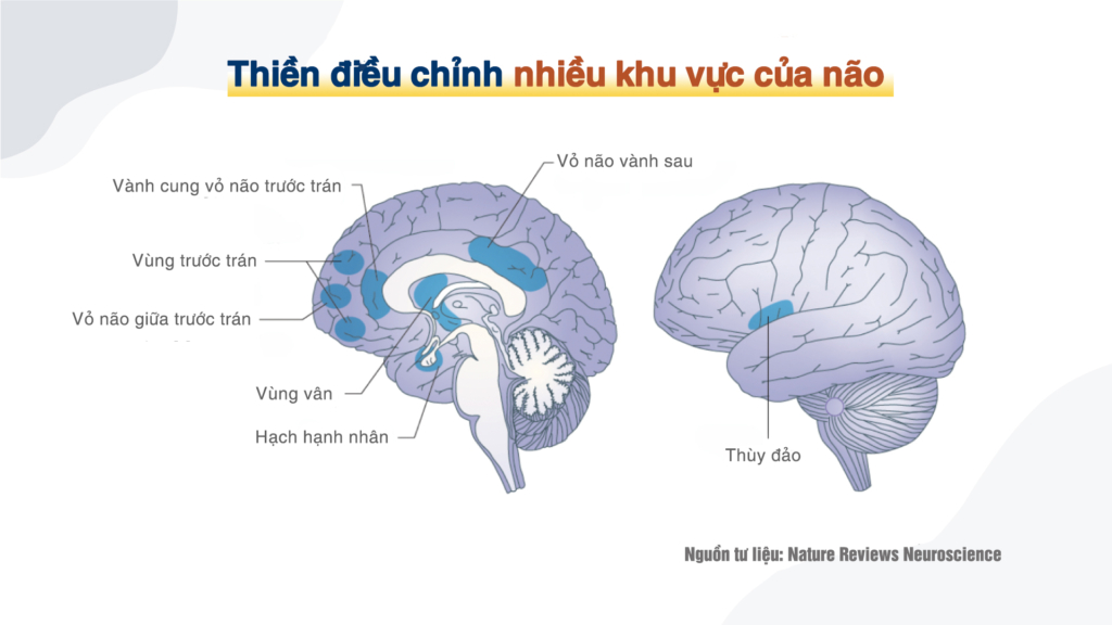 Nhìn thấu ‘Thuyết tiến hóa’ (Chương 4): Thuyết tiến hóa không động chạm đến thế giới tinh thần (P.2)