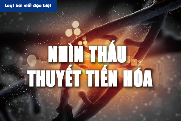 Nhìn thấu ‘Thuyết tiến hóa’ (Chương 4): Thuyết tiến hóa không động chạm đến thế giới tinh thần (P.2)