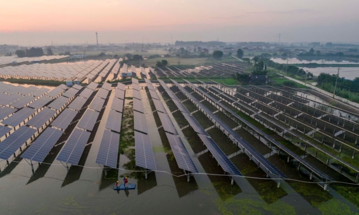 Công nhân kiểm tra các tấm pin mặt trời vào sáng sớm tại nhà máy quang năng bổ sung ở Thái Châu, phía đông tỉnh Giang Tô của Trung Quốc, vào ngày 12/07/2023. (Ảnh: Stringer/AFP qua Getty Images)