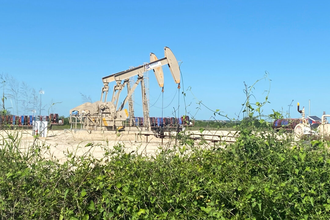 Các máy bơm dầu ở quận Karnes, Texas, hôm 18/05/2020. (Ảnh: Jennifer Hiller/Reuters)