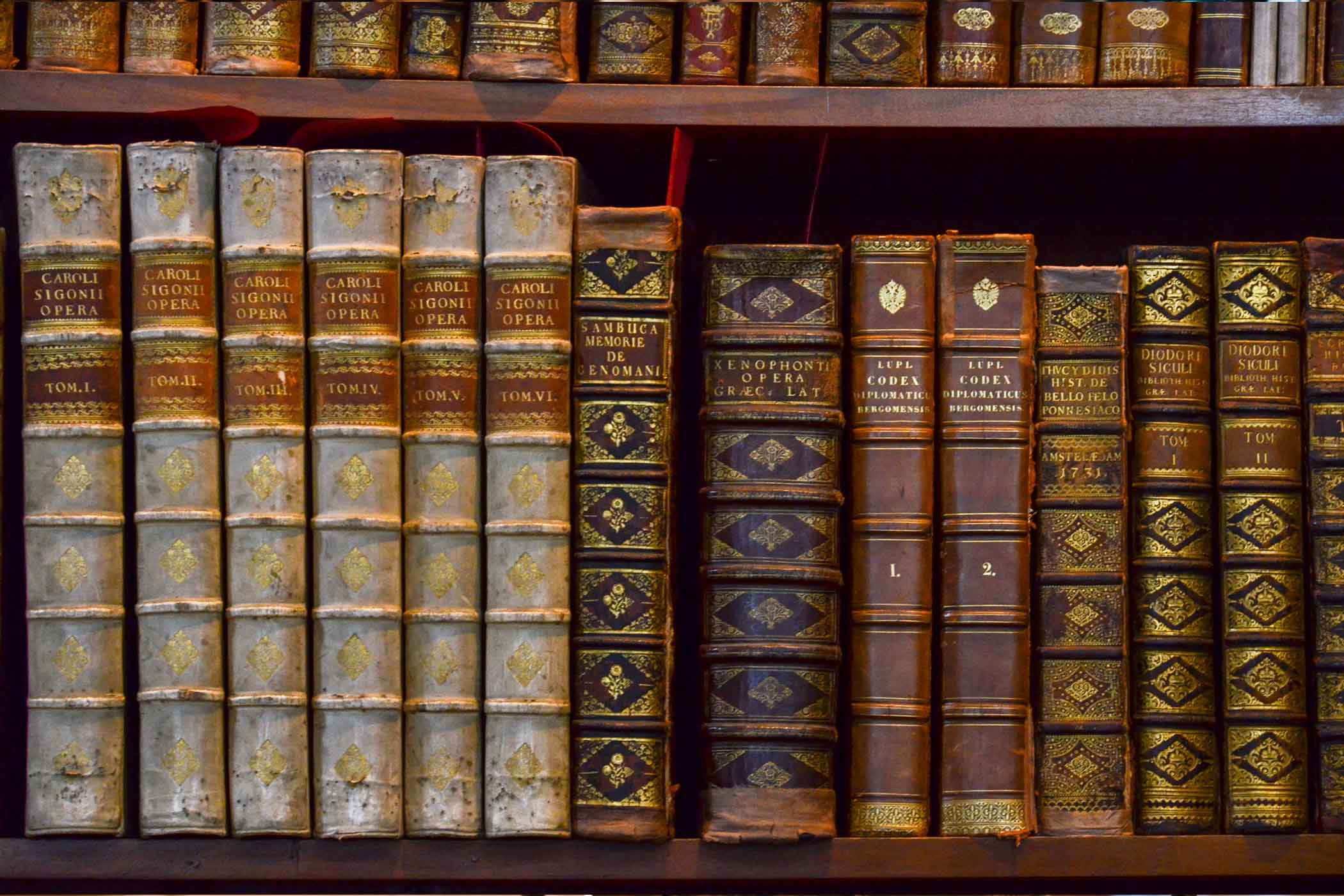 Một giá sách chứa đầy những cuốn sách cổ trong Thư viện Quốc gia Áo. (Ảnh: Ann Raff/Shutterstock)