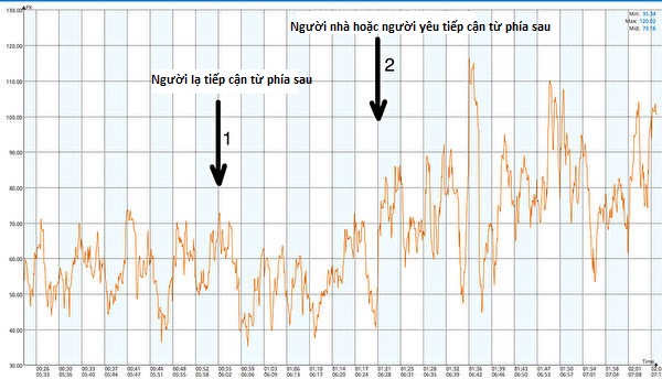 Nhìn thấu ‘Thuyết tiến hóa’ (Chương 4): Thuyết tiến hóa không động chạm đến thế giới tinh thần (P.2)