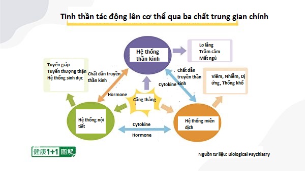 Nhìn thấu ‘Thuyết tiến hóa’ (Chương 4): Thuyết tiến hóa không động chạm đến thế giới tinh thần (P.2)