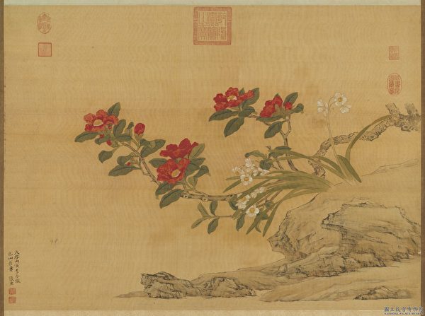 Hoa thủy tiên phù hợp với căn phòng, với ngôi nhà và cuộc sống của chủ nhân! Hình ảnh Trương Hoành phỏng theo tác phẩm “Trà hoa thủy tiên” của Lục Trị thời nhà Minh (Ảnh: Bảo tàng Cố cung Quốc gia cung cấp)