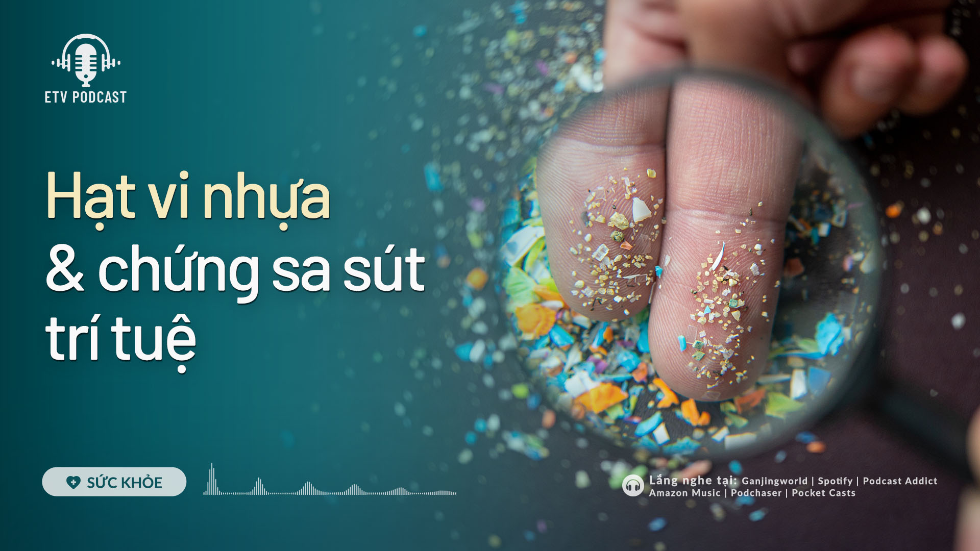 Hạt vi nhựa & chứng sa sút trí tuệ | Sức khỏe 