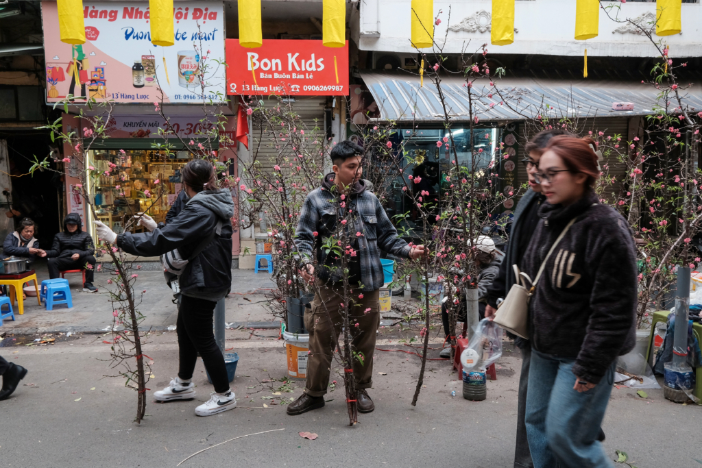 Phóng sự ảnh: Chợ hoa Hà Nội - Sắc Xuân xua tan giá lạnh
