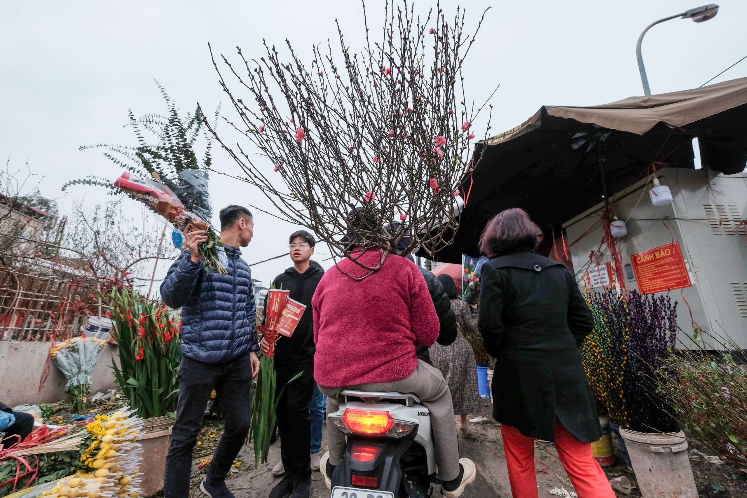 Phóng sự ảnh: Chợ hoa Hà Nội – Sắc Xuân xua tan giá lạnh