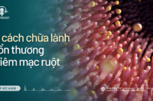 5 cách chữa lành tổn thương niêm mạc ruột | Sức khỏe 