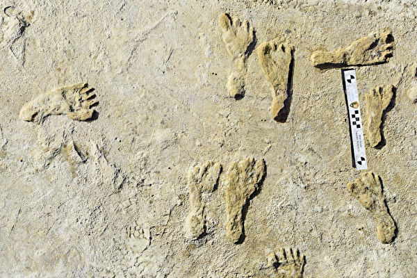 Dấu chân con người cổ xưa nhất được tìm thấy ở Bắc Mỹ có niên đại 23,000 năm