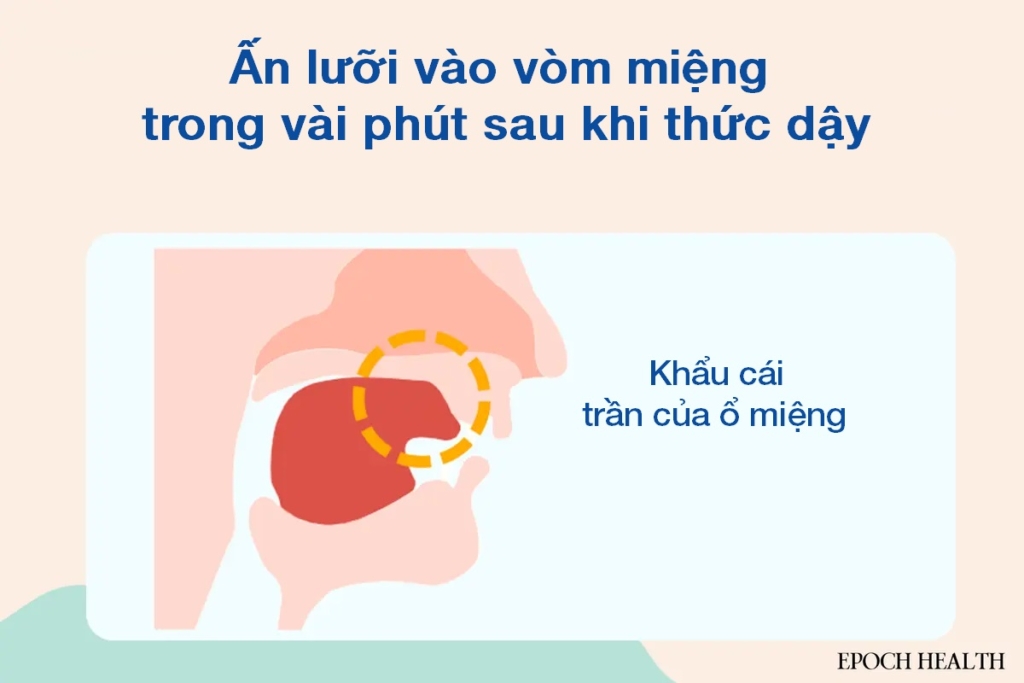 Hướng dẫn chăm sóc thận toàn diện: 4 phương pháp dưỡng thận cổ xưa