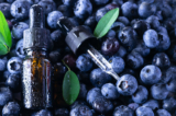 (Ảnh: Iryna Pohrebna/Shutterstock)