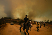 Một người dân chạy khỏi đám cháy rừng đang lan rộng ở Vina del Mar, Chile, hôm 03/02/2024. (Ảnh: Esteban Felix/AP Photo)