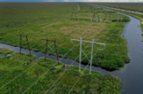 Ở góc nhìn từ trên không, hình ảnh các đường dây điện được gắn vào tháp truyền tải dọc theo lưới điện ở Everglades, Florida, vào ngày 28/09/2023. (Ảnh: Joe Raedle/Getty Images)