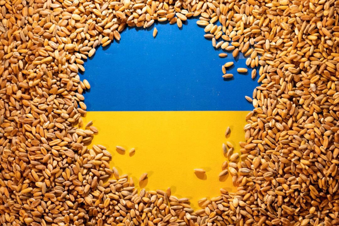 Một lá cờ Ukraine được bao phủ bởi các hạt ngũ cốc trong bức hình minh họa này, vào ngày 09/05/2022. (Ảnh: Dado Ruvic/Reuters)