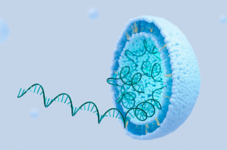Vaccine mRNA COVID có thể ‘lây nhiễm có hệ thống’ sang nhau thai và trẻ sơ sinh nếu người mẹ chích ngừa trong thai kỳ