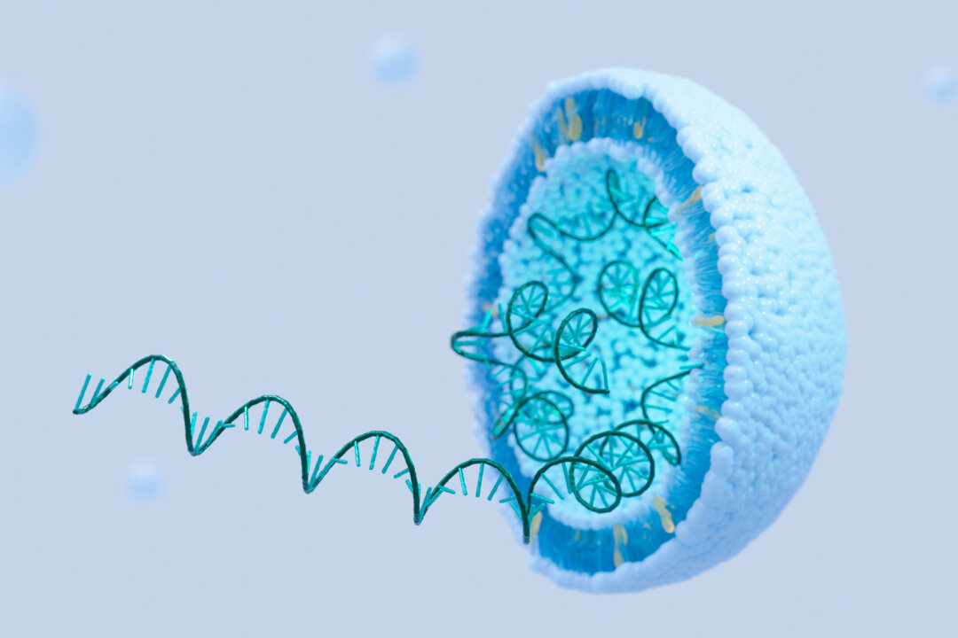 Vaccine mRNA COVID có thể ‘lây nhiễm có hệ thống’ sang nhau thai và trẻ sơ sinh nếu người mẹ chích ngừa trong thai kỳ